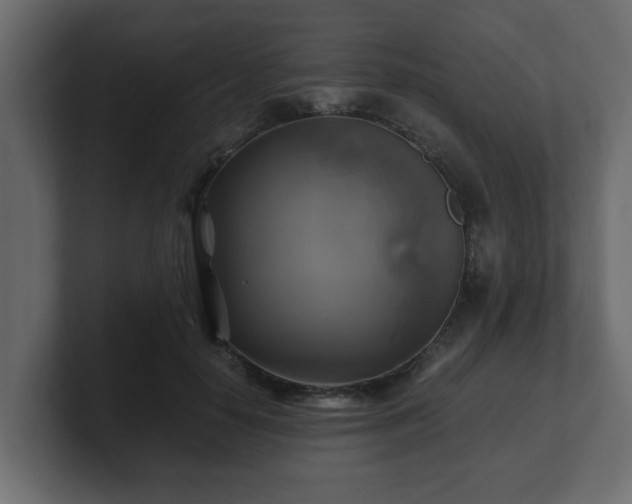 X0000100760650200806261606