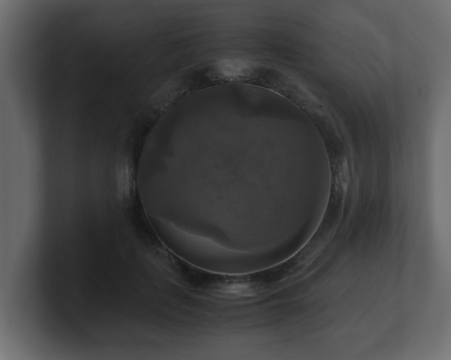 X0000100760651200806261606