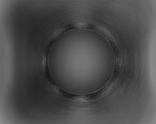 X0000100760652200806261606