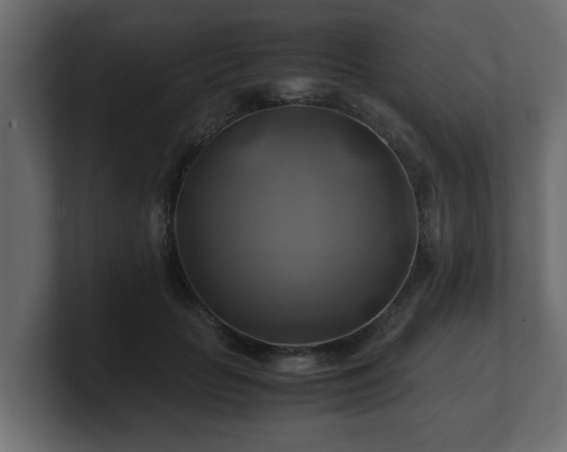 X0000100760653200806261606