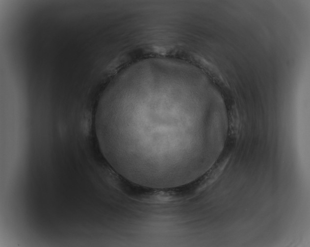 X0000100760656200806261606