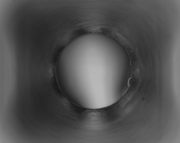 X0000100760658200806261606