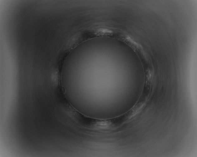 X0000100760659200806261606