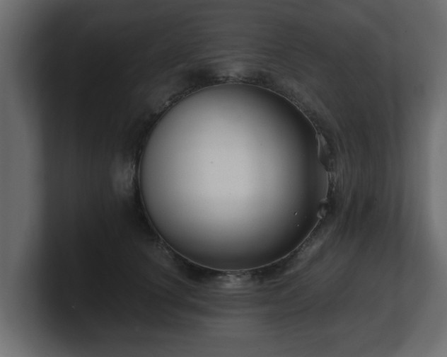 X0000100760660200806261606