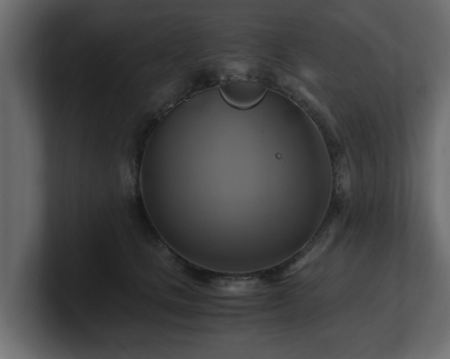 X0000100760661200806261606