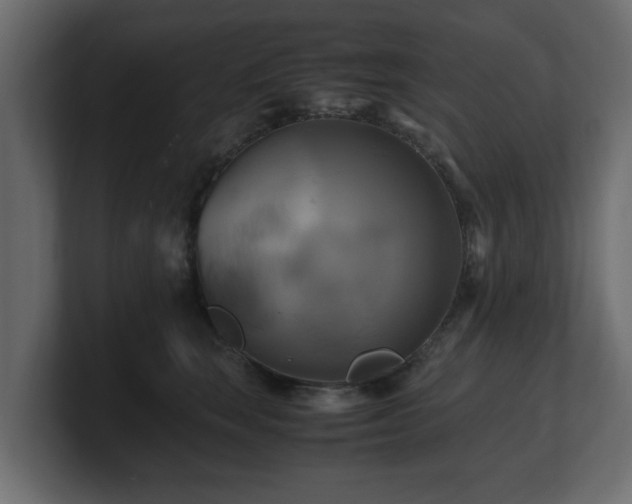 X0000100760663200806261606