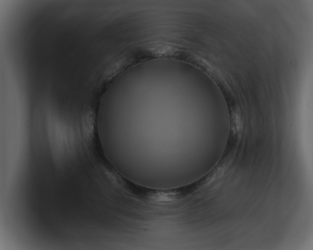 X0000100760664200806261606