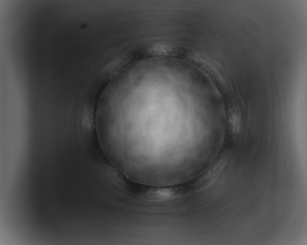 X0000100760665200806261606