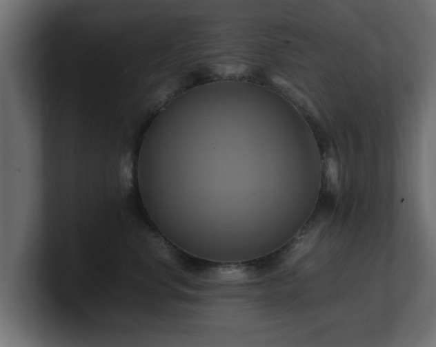 X0000100760668200806261606