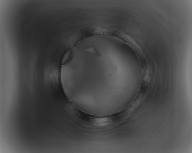 X0000100760669200806261606