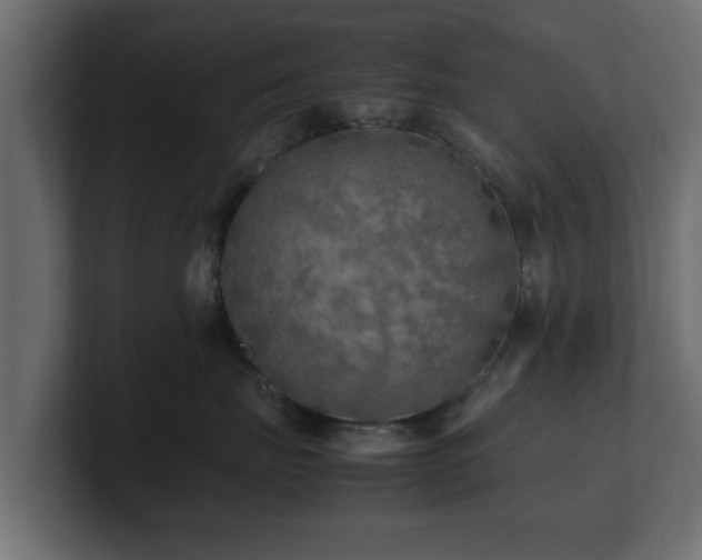 X0000100760671200806261606