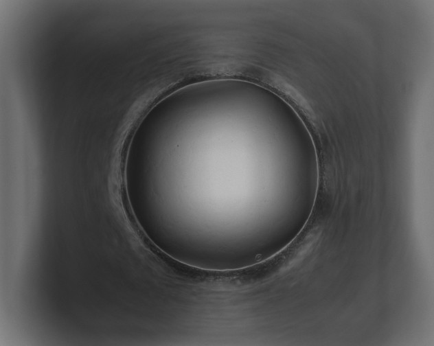 X0000100760673200806261605