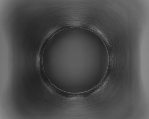 X0000100760674200806261605