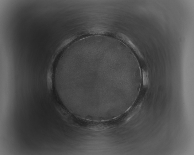 X0000100760675200806261605