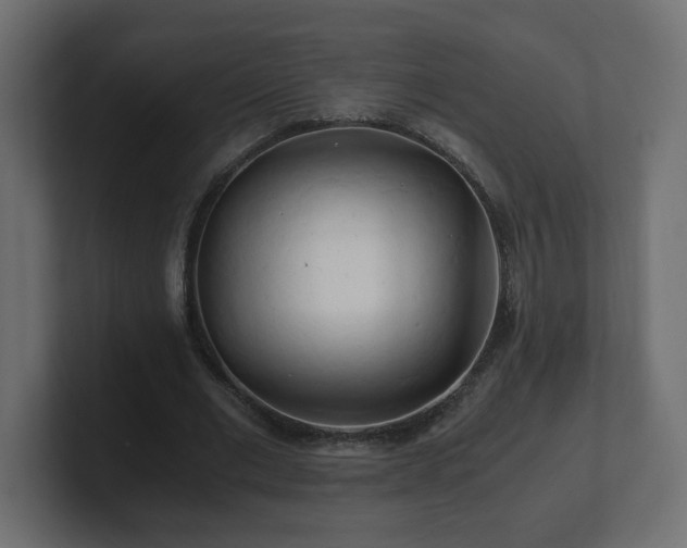 X0000100760677200806261605