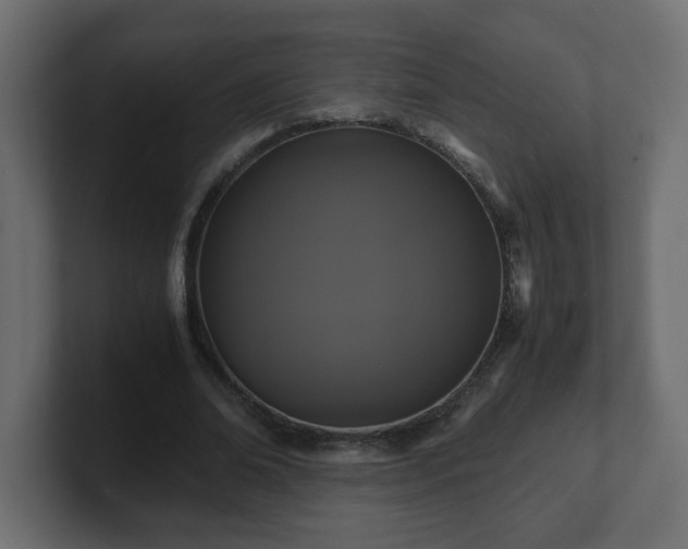 X0000100760678200806261605