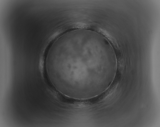 X0000100760679200806261605