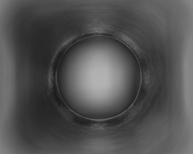 X0000100760680200806261605