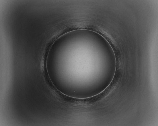 X0000100760681200806261605