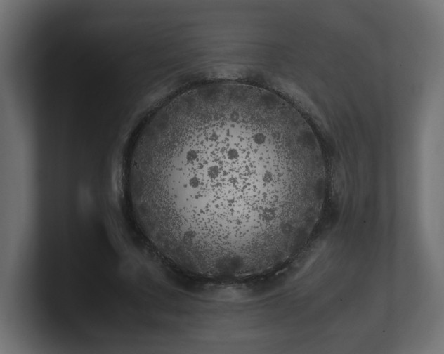 X0000100760683200806261605