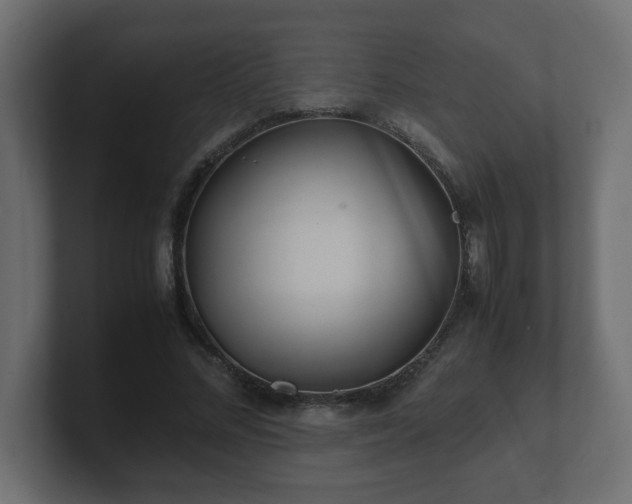 X0000100760684200806261605