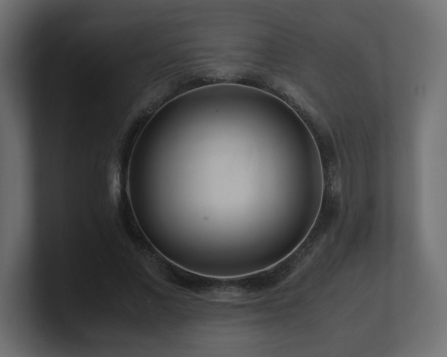 X0000100760685200806261605