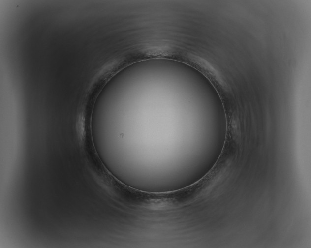 X0000100760686200806261605