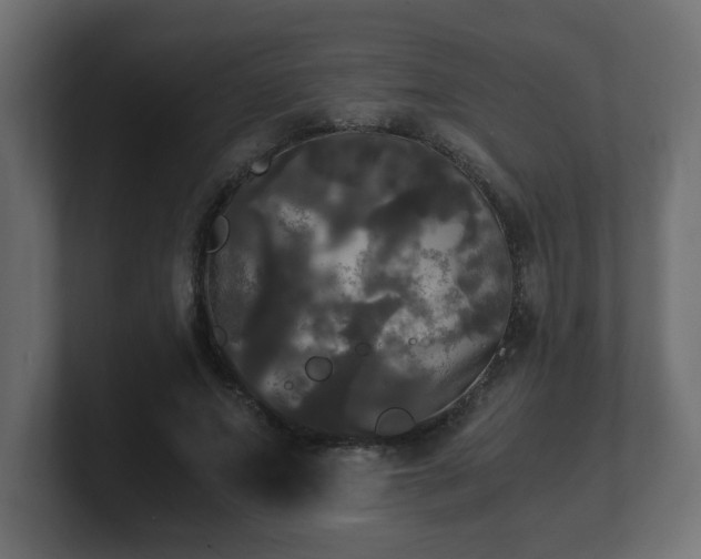 X0000100760687200806261605