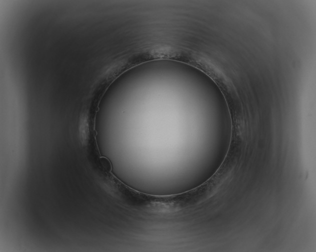 X0000100760690200806261605