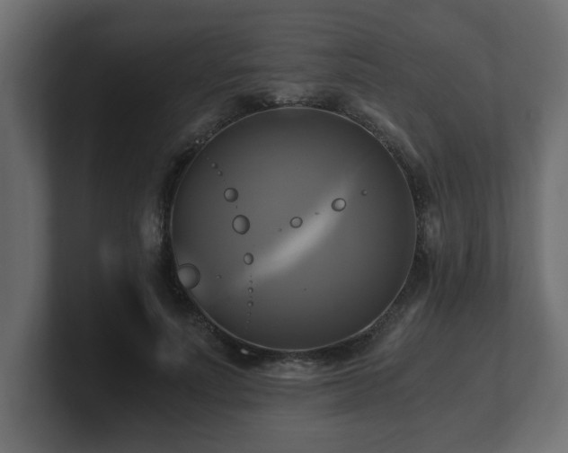 X0000100760691200806261605