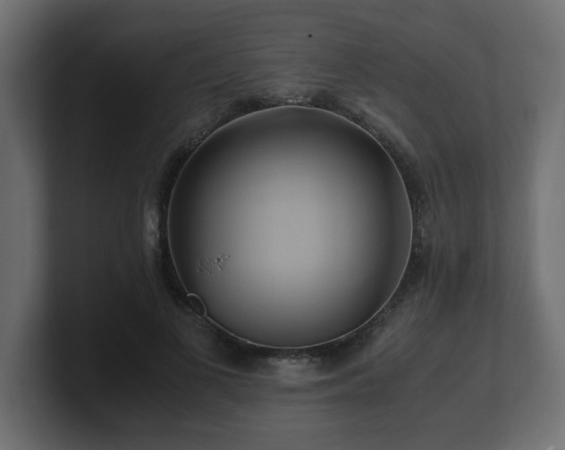 X0000100760693200806261605