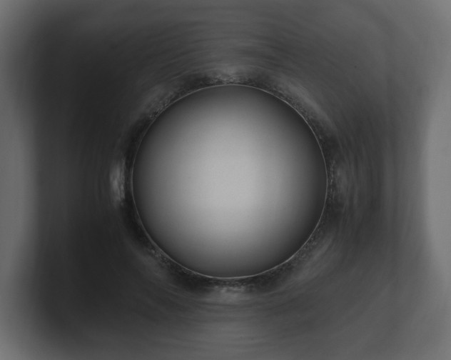 X0000100760694200806261605