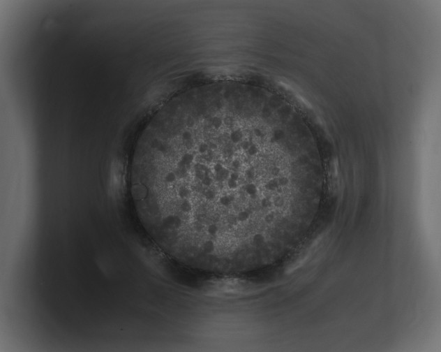 X0000100760695200806261605