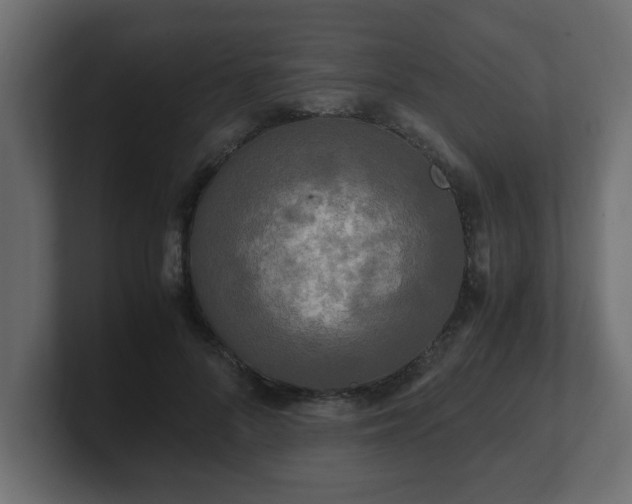 X0000100760696200806261605