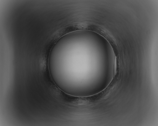 X0000100760697200806261605