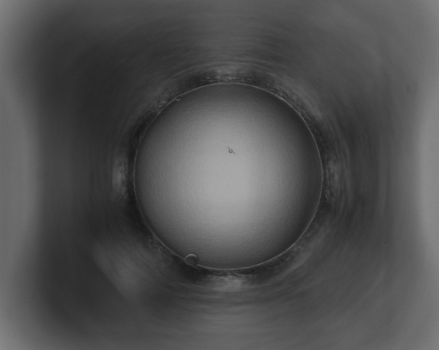 X0000100760698200806261605