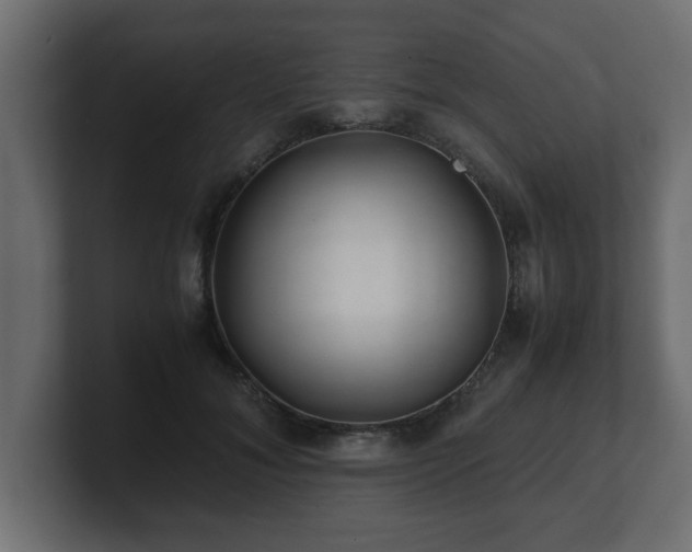 X0000100760700200806261605