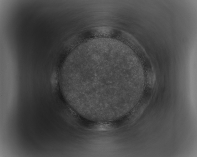 X0000100760701200806261605