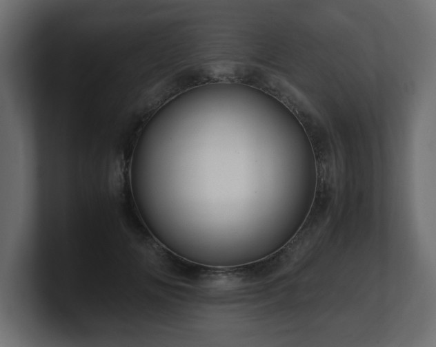 X0000100760702200806261605