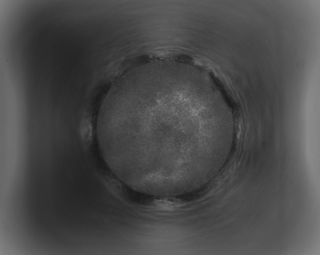 X0000100760703200806261605