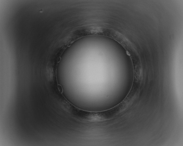 X0000100760704200806261605