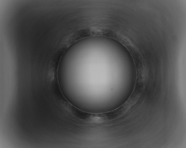 X0000100760706200806261605