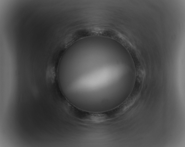 X0000100760707200806261605