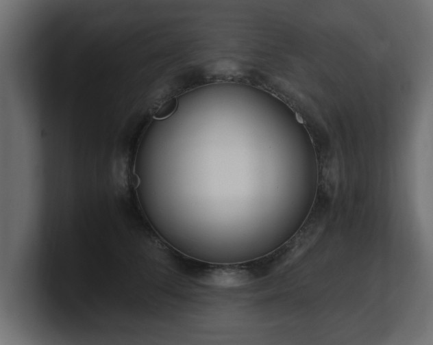 X0000100760708200806261605