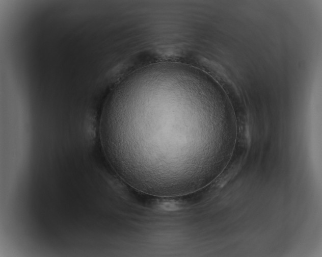 X0000100760710200806261605