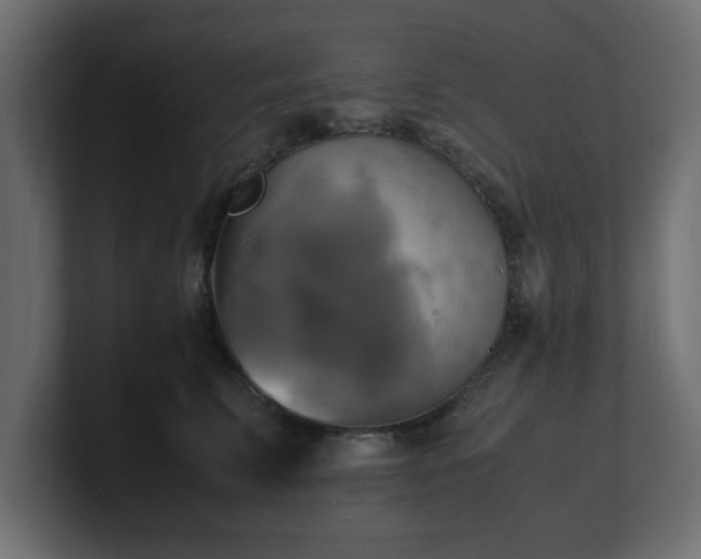 X0000100760711200806261605