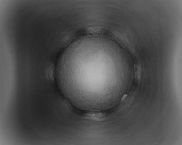 X0000100760712200806261605