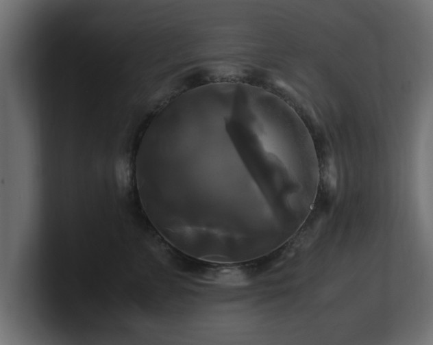 X0000100760715200806261605