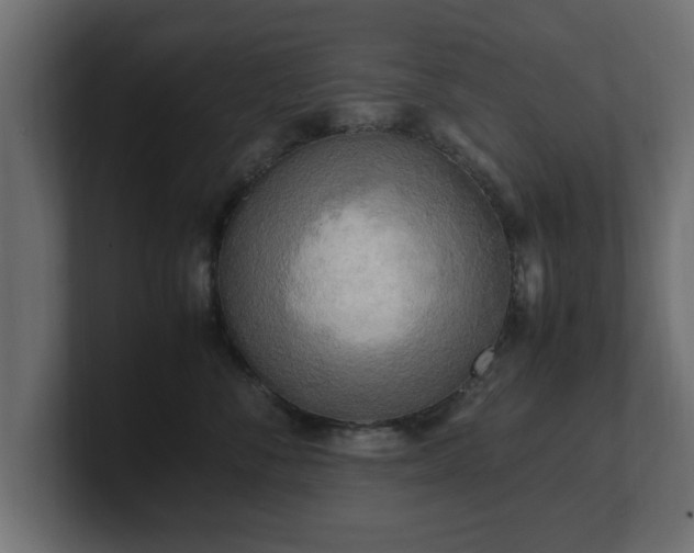 X0000100760716200806261605