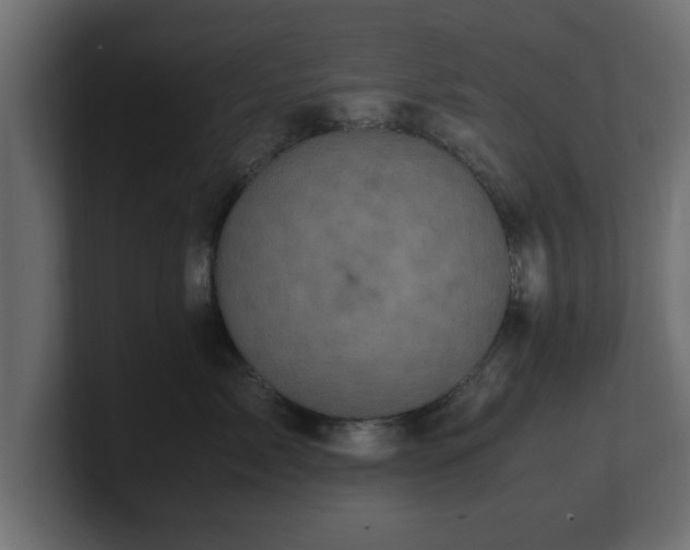 X0000100760717200806261605